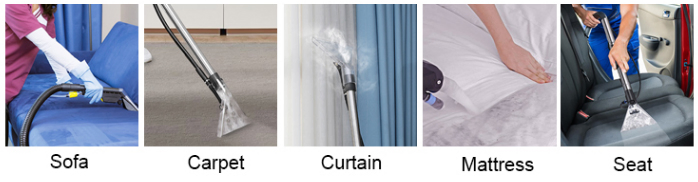 Pivot Carton Box Water/Recovery Tank: 9L Bed Steam Sofa Cleaner with CE