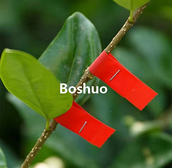 China Supplier Stretch Plastic PVC PE Waterproof Outdoor Garden Tapetool Plant Tie Tape for Grapes Tomatoes Peppers Cucumbers Pumpkin Eggplant Bean Fixing