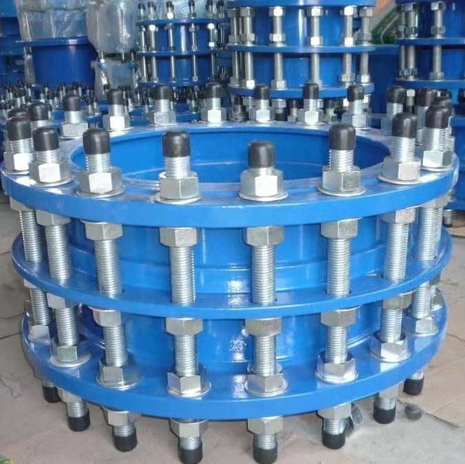 DN65-DN3200 Carbon Steel Cast Iron Double Flange Force Transfer Flexible Dismantling Joint