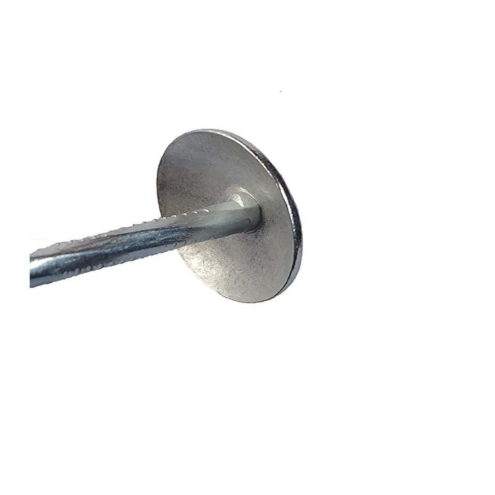 Chinese Manufacture Q195 Steel Umbrella Head Roofing Nail