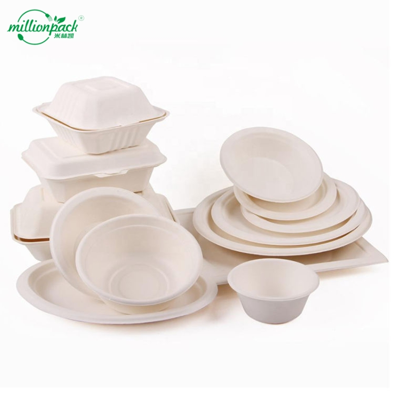 Grease-Resistant Sugarcane Container for Fried Food and Snack Packaging