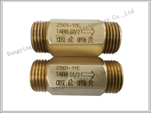 Freeze Protection Valve Frost Protection Valve T2501