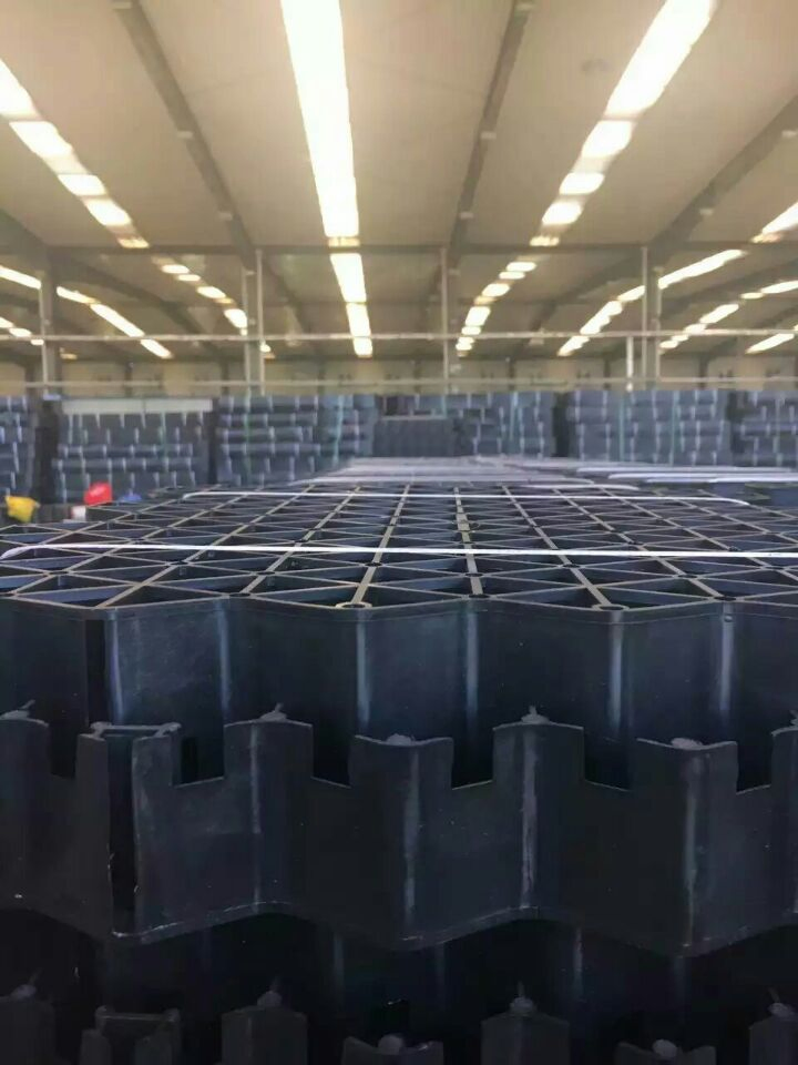 H50 High Quality Plastic Grass Grid/Landscape Turf Grass Paver