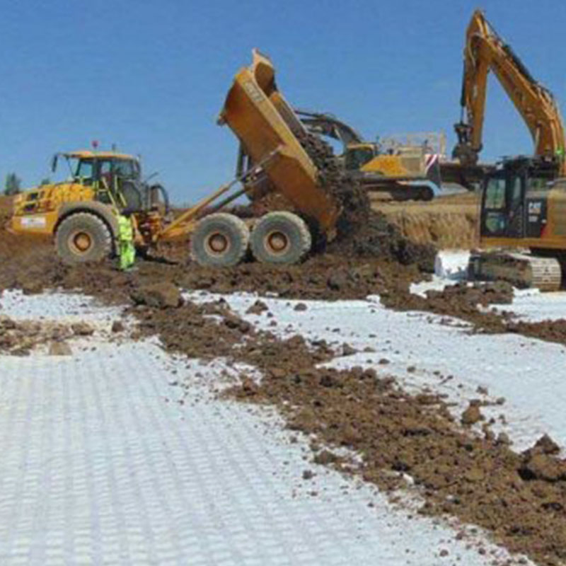 Drainage Geonet 3D Composite Drainage Network for Landfill