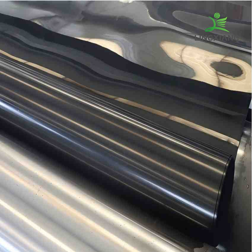 Durable Biogas Waste Geomembrane for Agricultural Pond Applications Dam Landfill Lake Biogas Mining Fish Shrimp Farm Pond Liner Swimming Pool Agricultural Agric