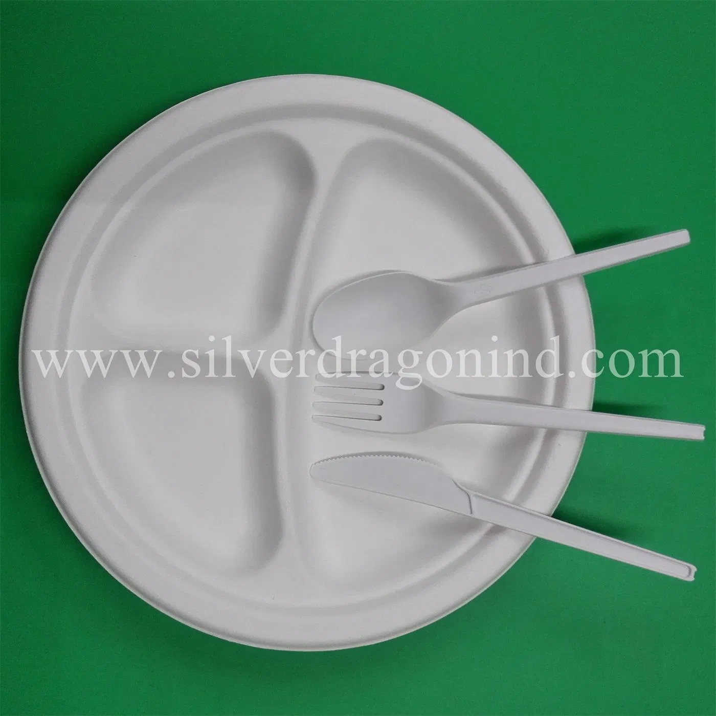 Biodegradable Disposable Sugarcane Pulp Containers (including Plates, trays, bowls and boxes)