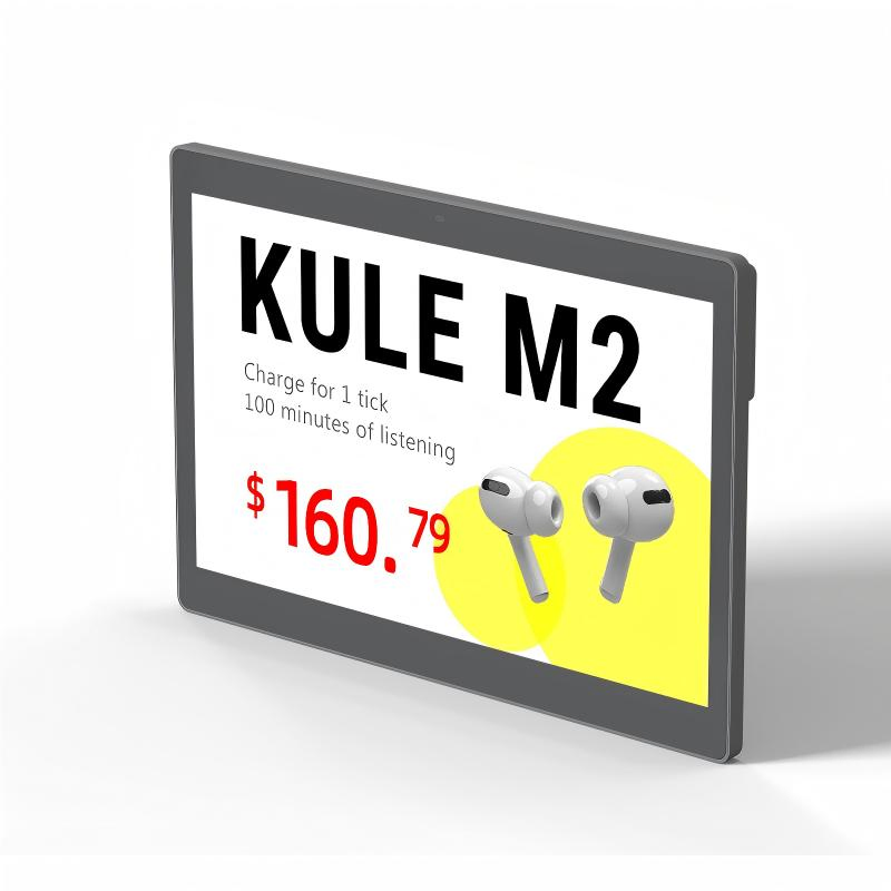 Environmentally Friendly Paperless 2.13inch Electronic Digital Price Tag for Retail Shop Store