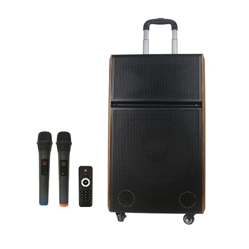12inch Bt Speaker Audio Sets with Charger Professional Audio Wonden Speaker Box