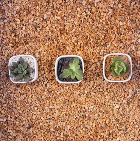 Machinery Stone, Vase Decoration, Aquarium Sand, Outdoor Decoration, Nature Stone.