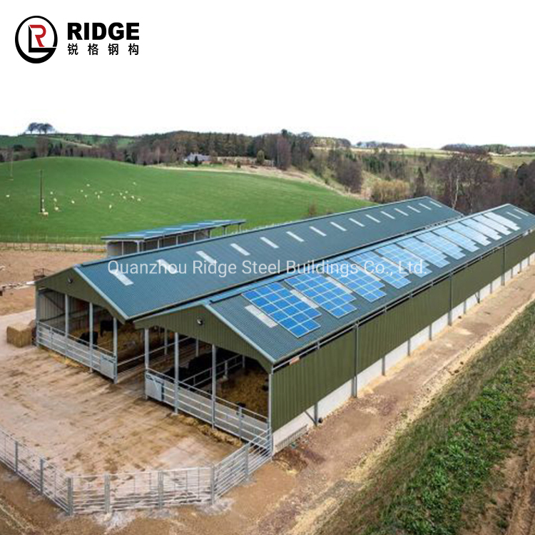 Prefab Light Seismic Brace Steel Structure Industrial Agricultural Farm Shed