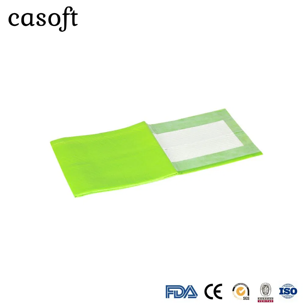 Casoft Hot Selling Print Pattern Potty Mat Puppy Dog Cool Training Dog PEE Pad