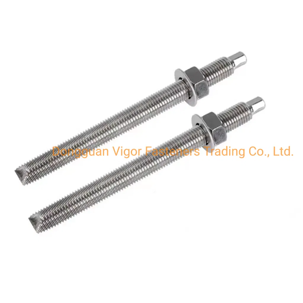 Stainless Steel Chemical Anchor Bolt for Construction Expansion Mechanical Anchor