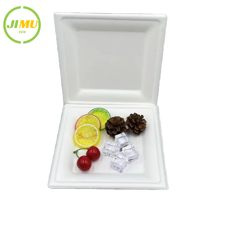100% Natural Bagasse Pulp Biodegradable Disposable 8 Inch Square Dish Salad Plate