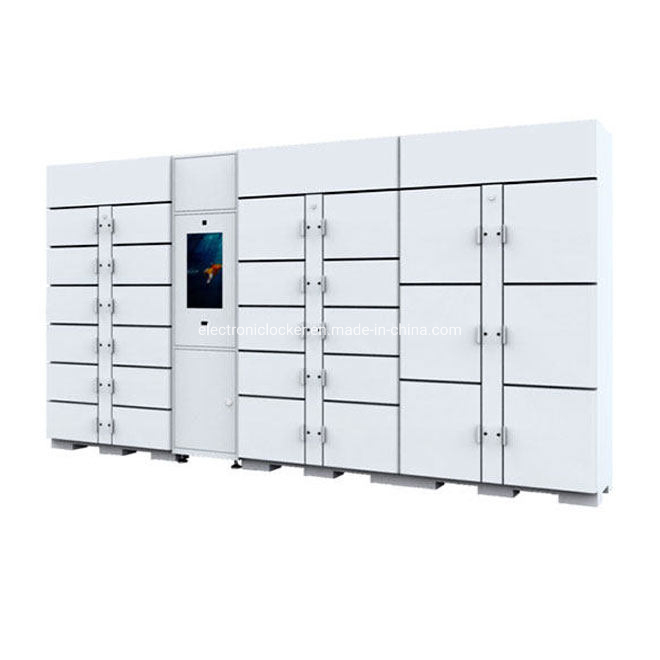 Heavy-Duty Outdoor Refrigerator Locker for Food Storage Solutions