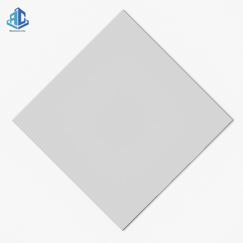 600X1200mm Perforated Aluminum Lay in Ceiling Aluminum Facade Cladding Aluminum Baffle Ceiling