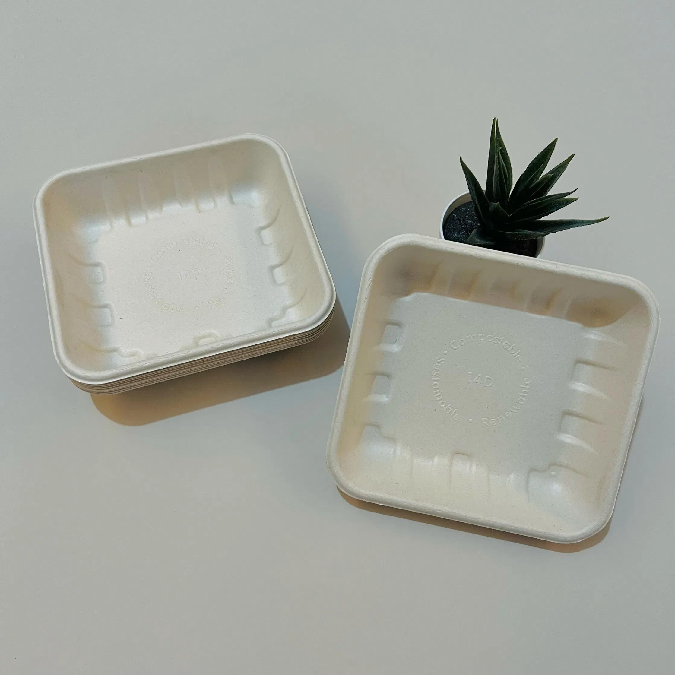 Factory Directly Eco Friendly 6 Inch Plant Fiber Disposable Dining Set