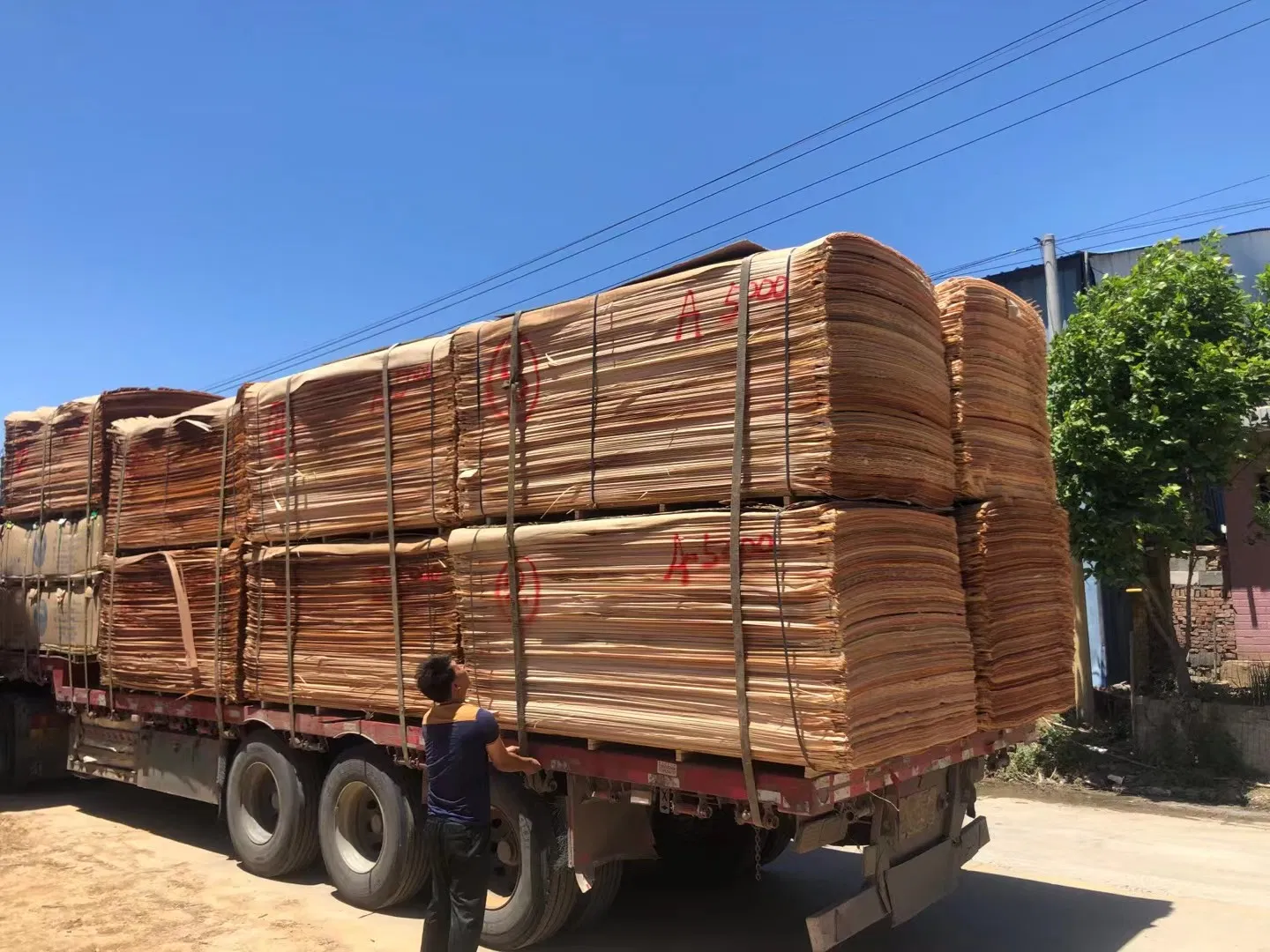 10'x6' Rotary Cut Okoume Veneer for Plywood
