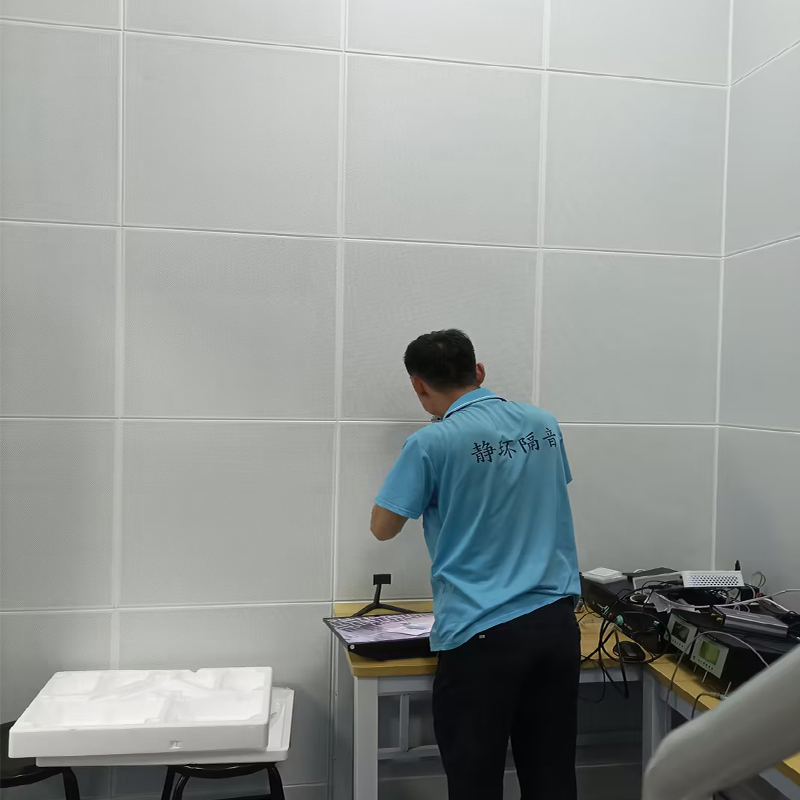 Anechoic Room Headphones, Microphone, Audio Testing Noise