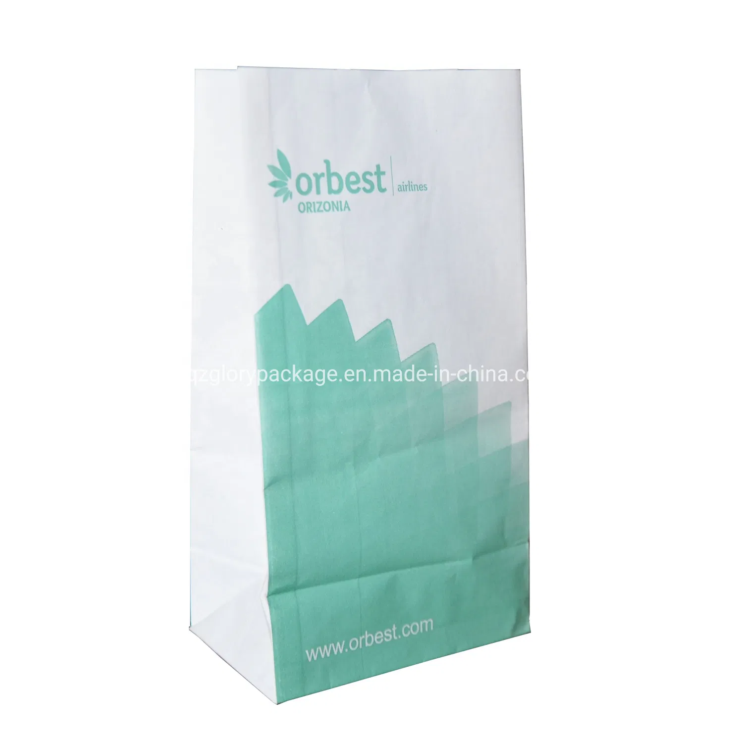 Square Bottom Airplane Vomit Paper Bag with Logo Print