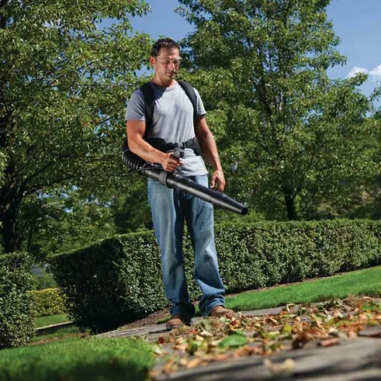 2 Stroke Petrol Leaf Blower Gasoline Engine Garden Tools Backpack Air Blower (GB430)