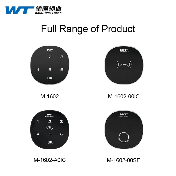 S-2013-00A0 Wt Wangtong Custom Keypad Electronic Smart Cam Lock