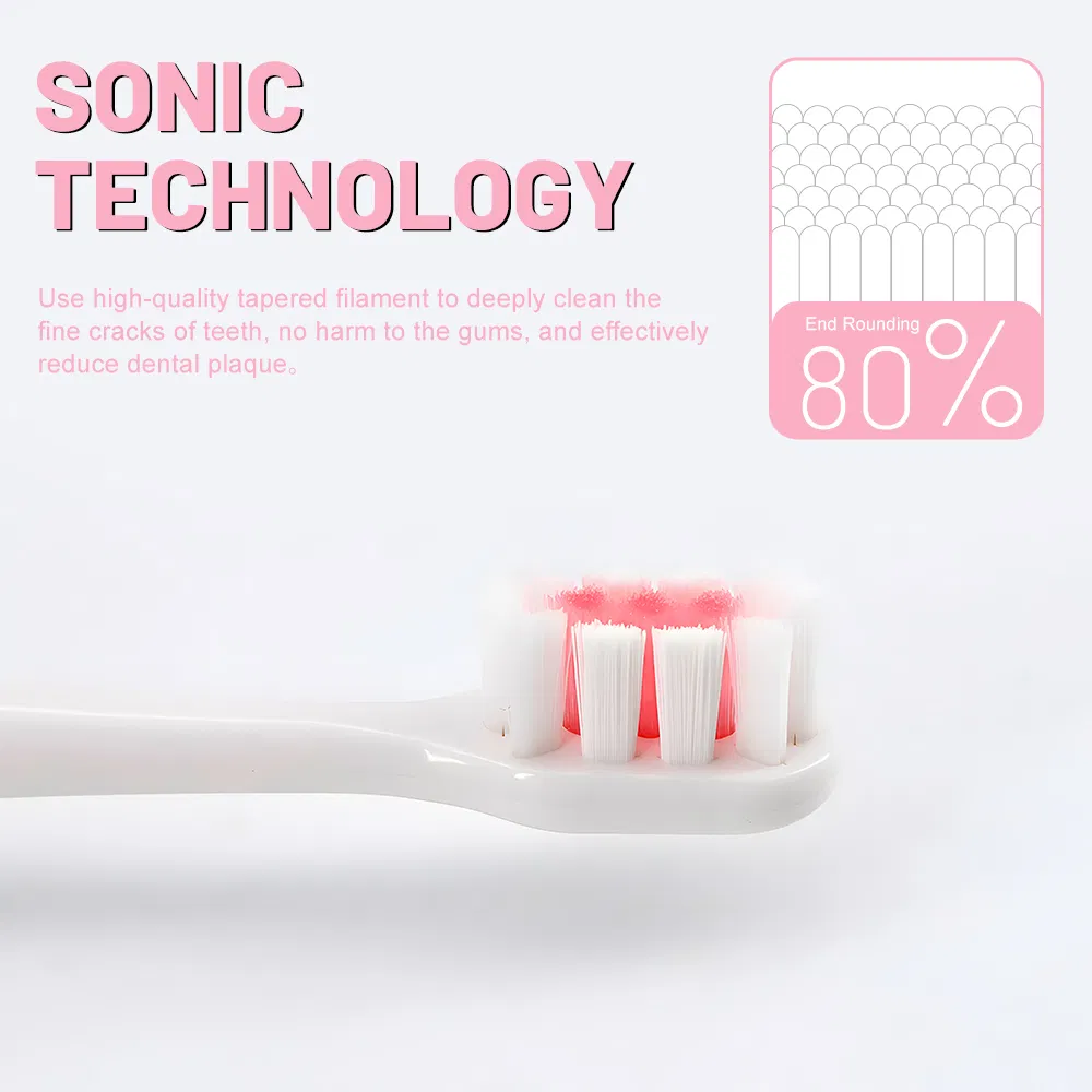 China Factory Wholesale Personalized Travel Portable Smart Waterproof Freshday Sonic Electric Toothbrush