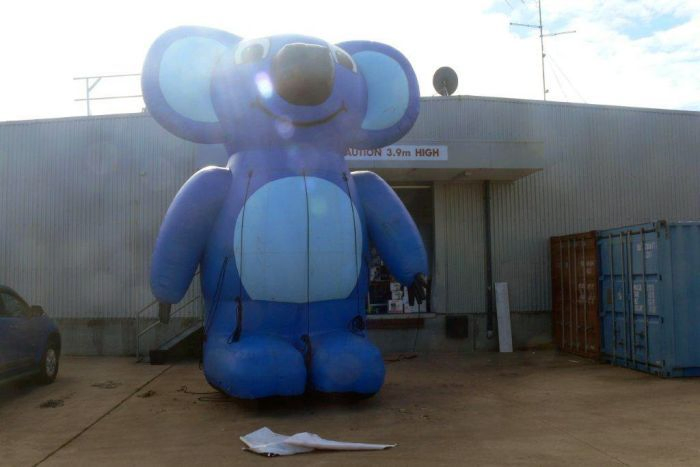 Boyi Giant Decorative Inflatable Customized Koala Animal