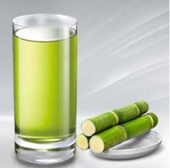 Stainless Steel Battery Type Sugar Cane Juice Machine