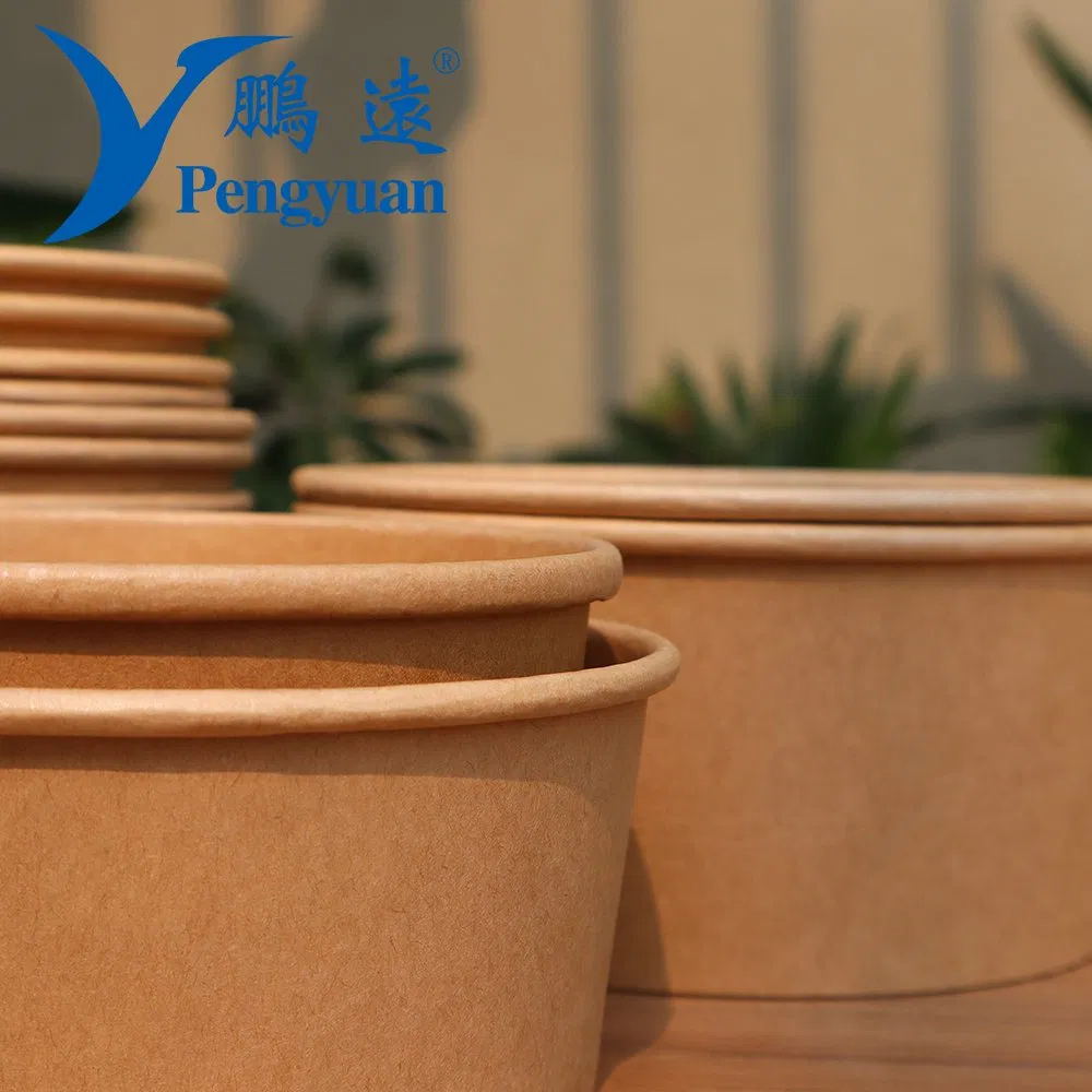 ODM OEM Custom Printed Takeaway Kraft Paper Food Packaging Salad Soup Noodle Bowl with Lid